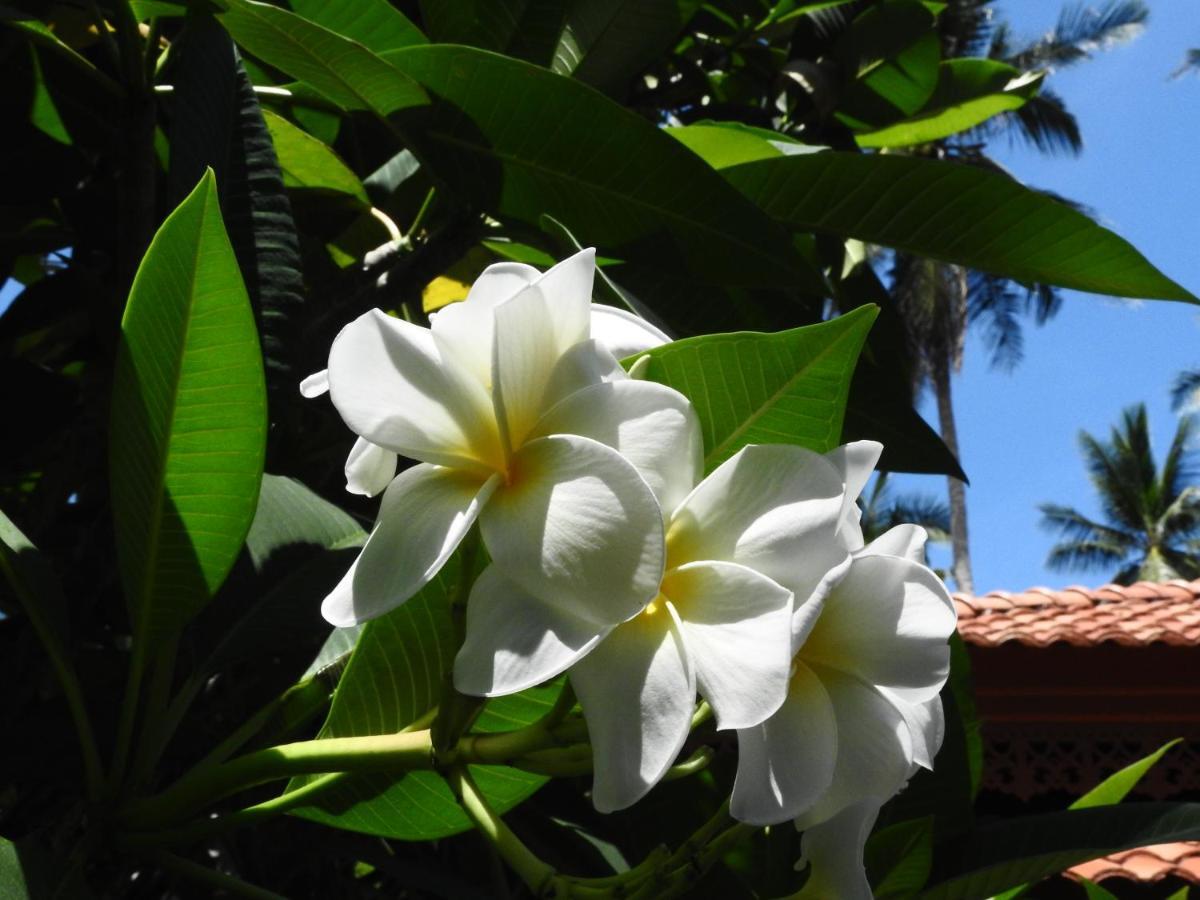 Laura Guest House-Adult Only- Hua Thanon  Exterior photo